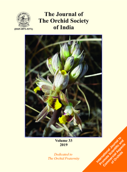 J. Orchid Soc. India – 2019